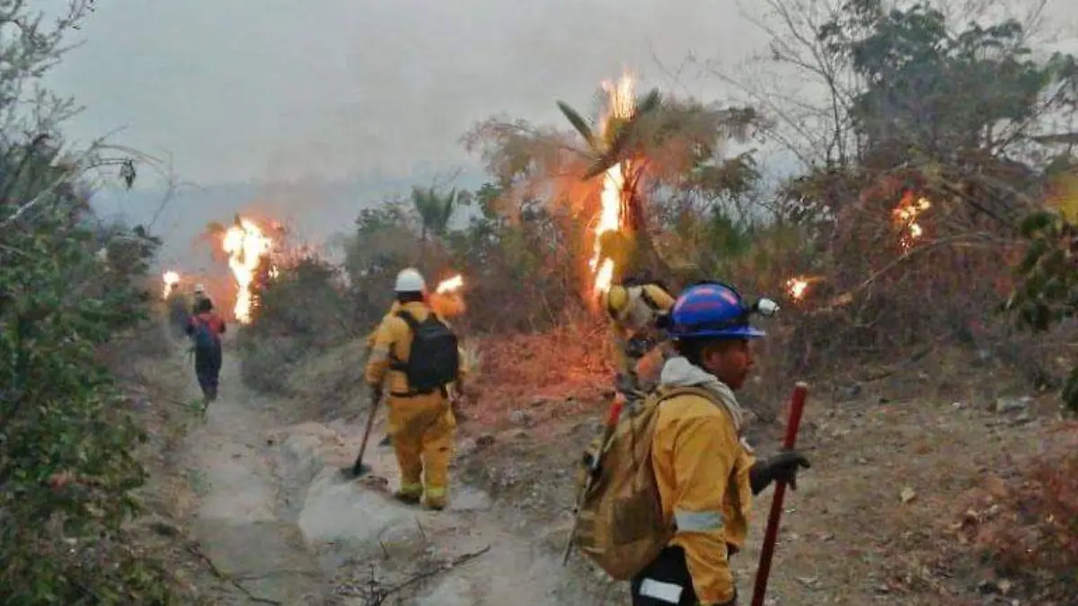 incendios forestales guerrero